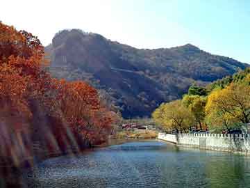 天天彩好彩天天免费，泛目录权重